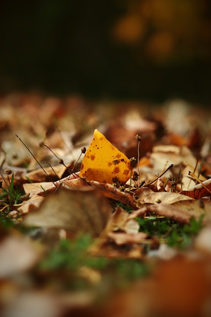 年轻球员来 年轻球员来