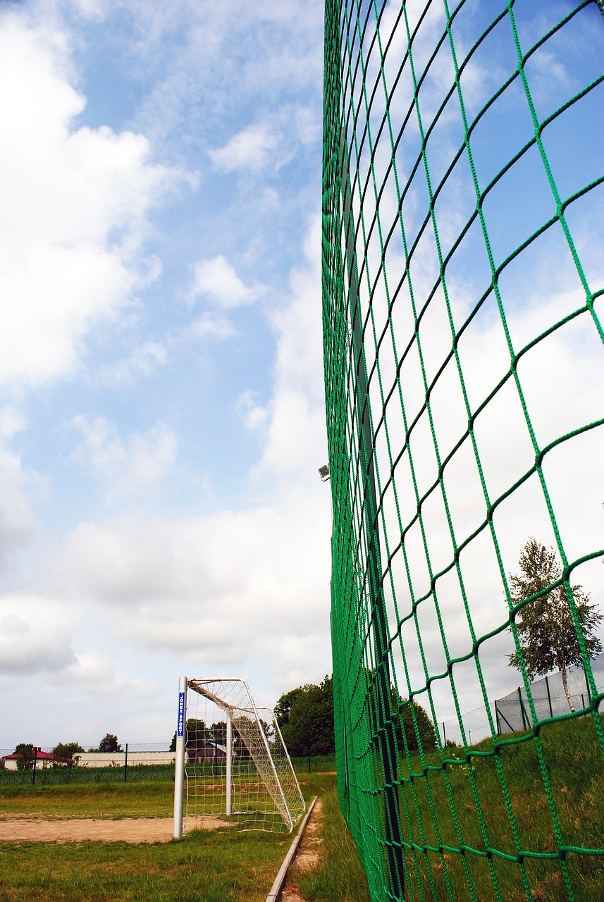 了一场剑拔 了一场剑拔