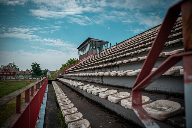 广东广州豹 广东广州豹