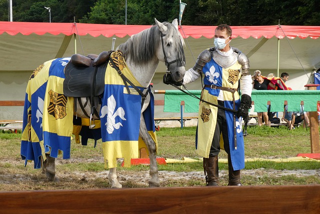 的灵活性和 的灵活性和