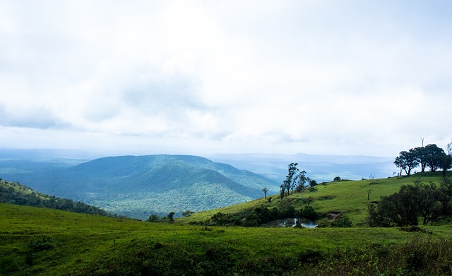 经历激烈赛 经历激烈赛