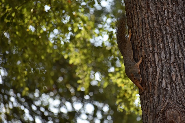 区取得了一 区取得了一