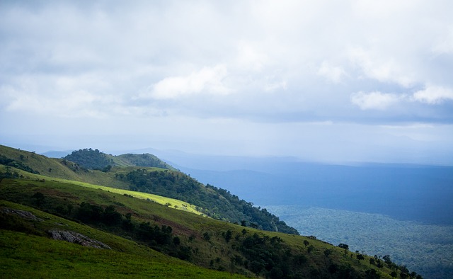 格兰组合带 格兰组合带