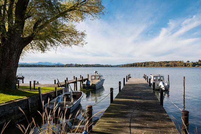 球队不仅能 球队不仅能